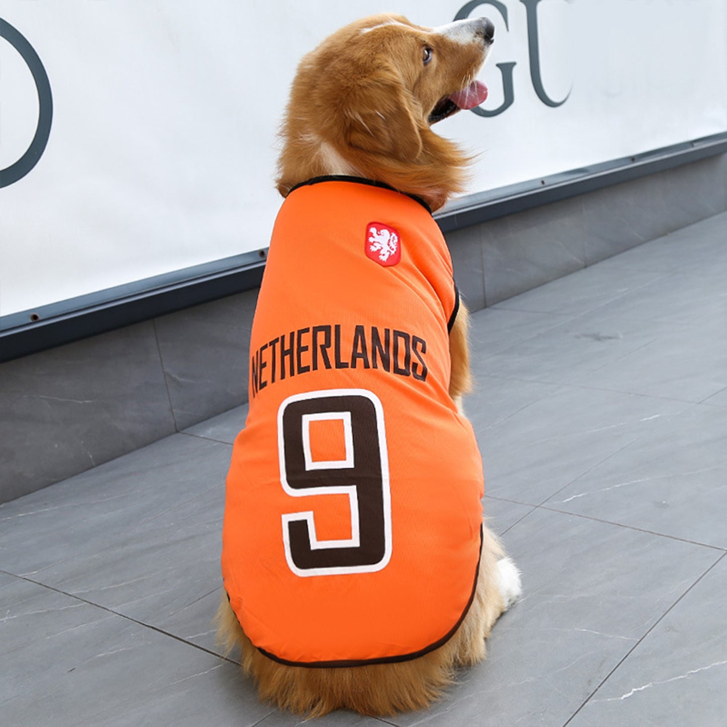 Dog Jersey | Breathable National Team Pet Shirt for Dogs