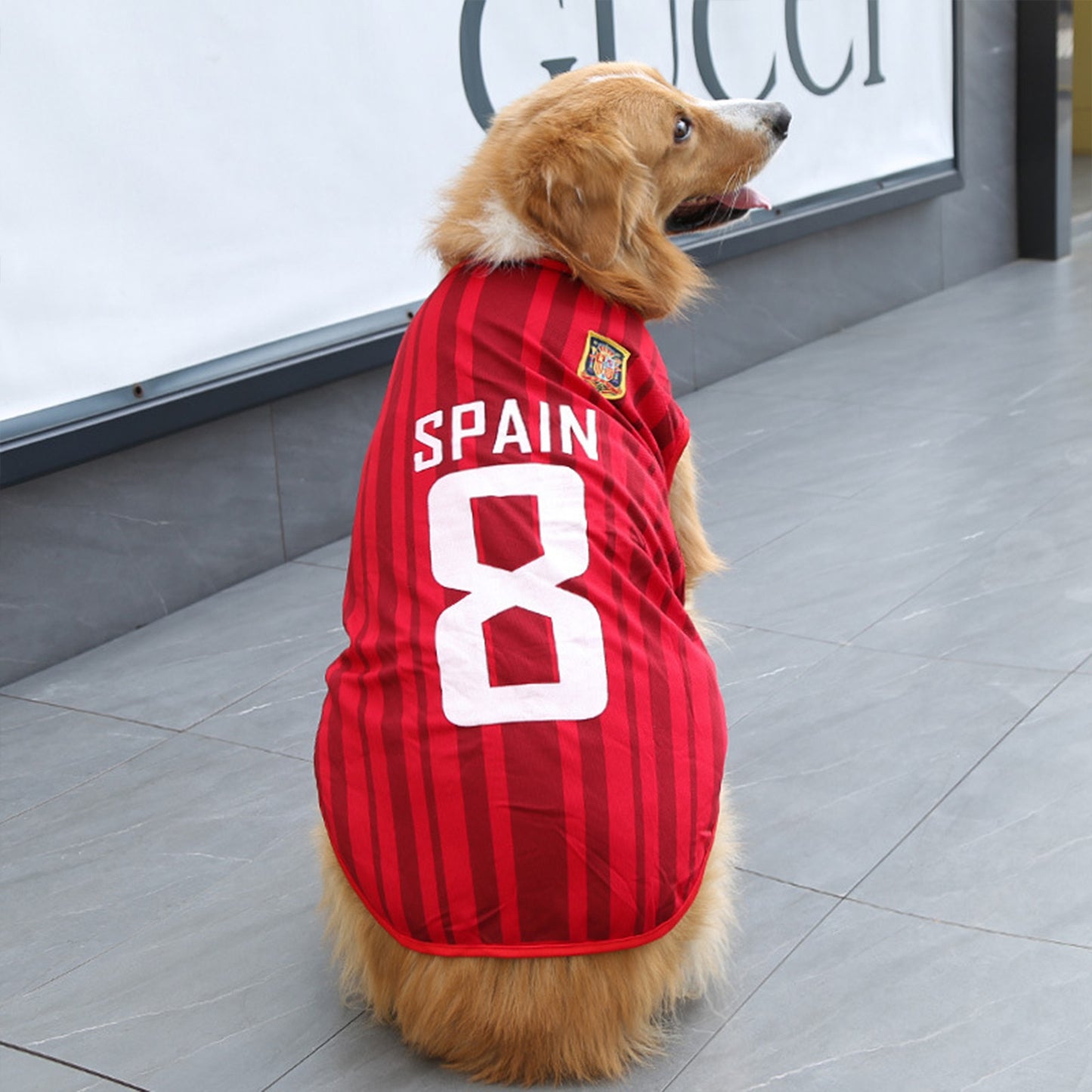 Dog Jersey | Breathable National Team Pet Shirt for Dogs