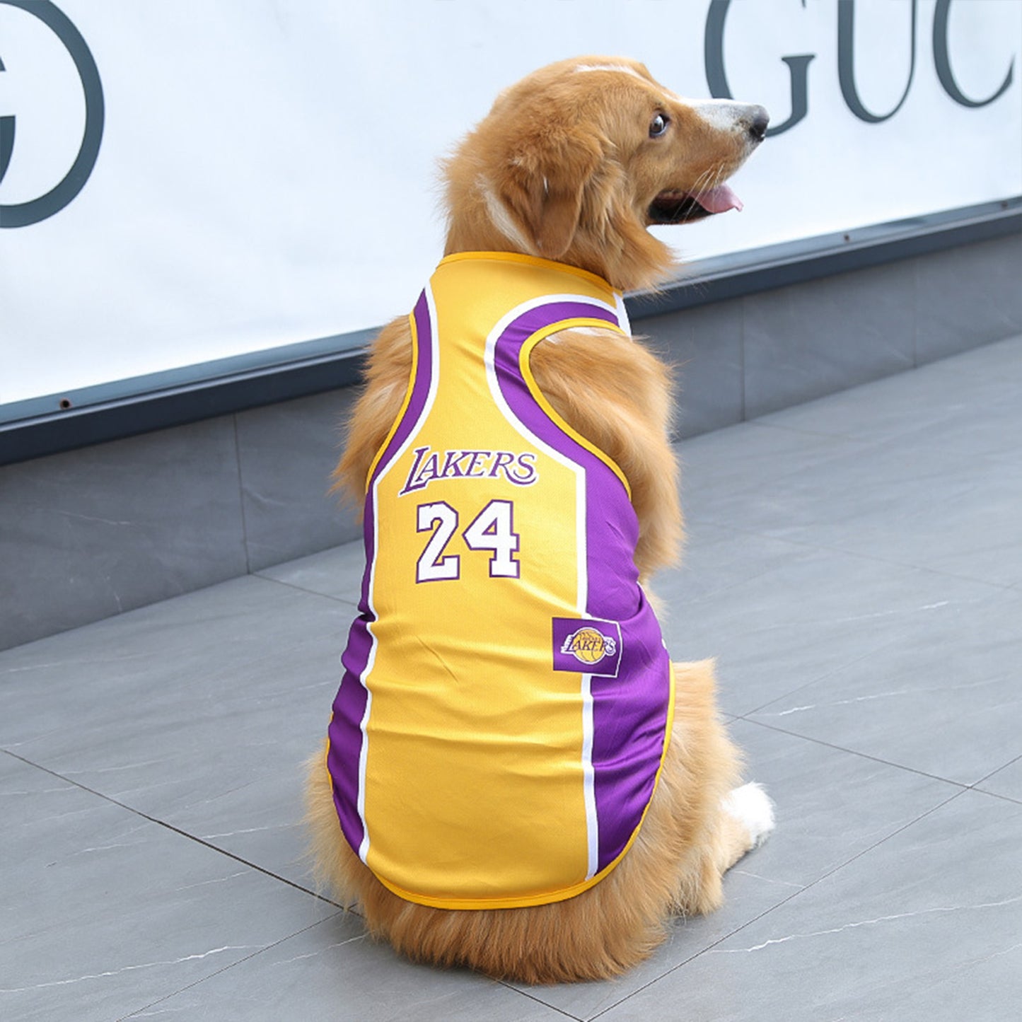 Dog Jersey | Breathable National Team Pet Shirt for Dogs