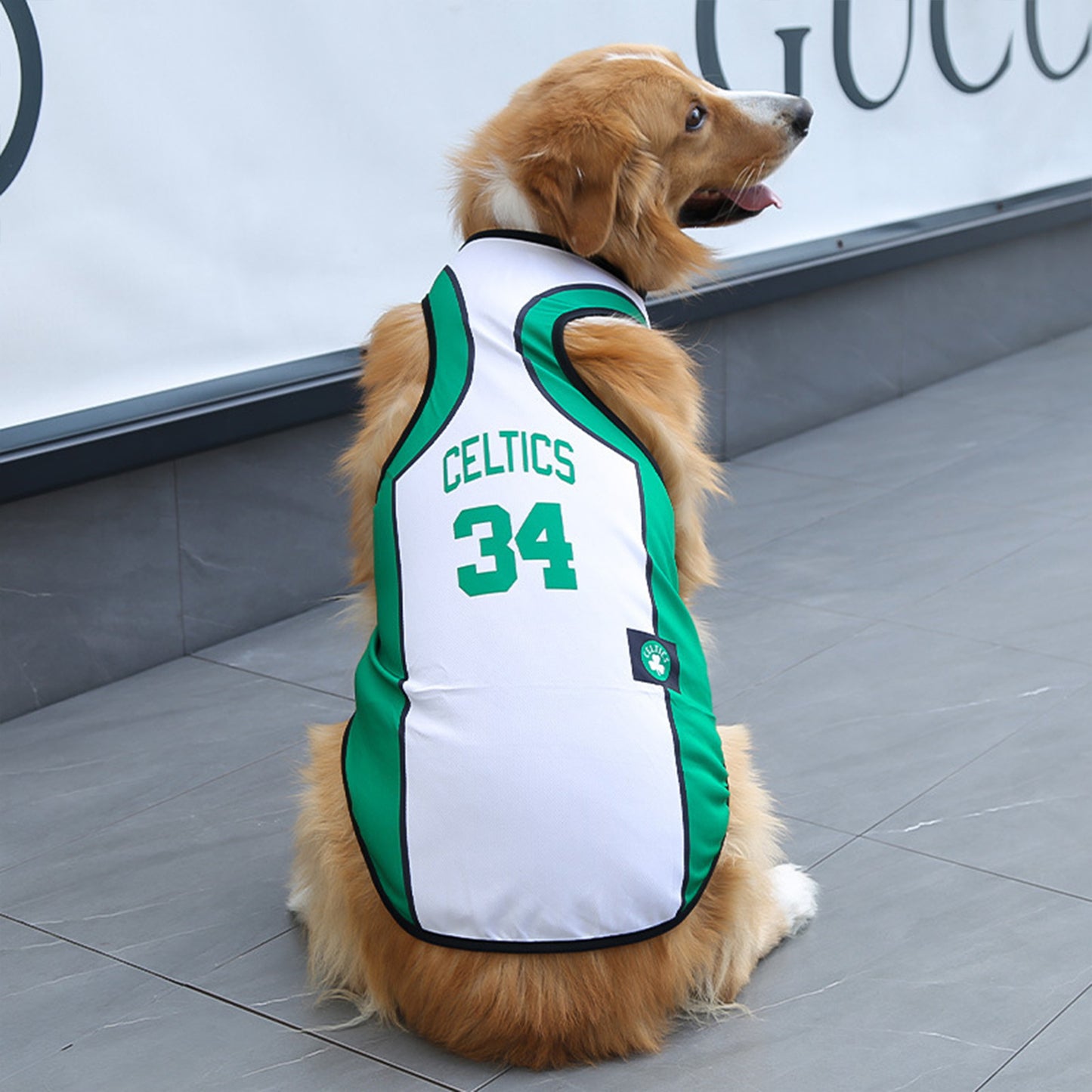Dog Jersey | Breathable National Team Pet Shirt for Dogs