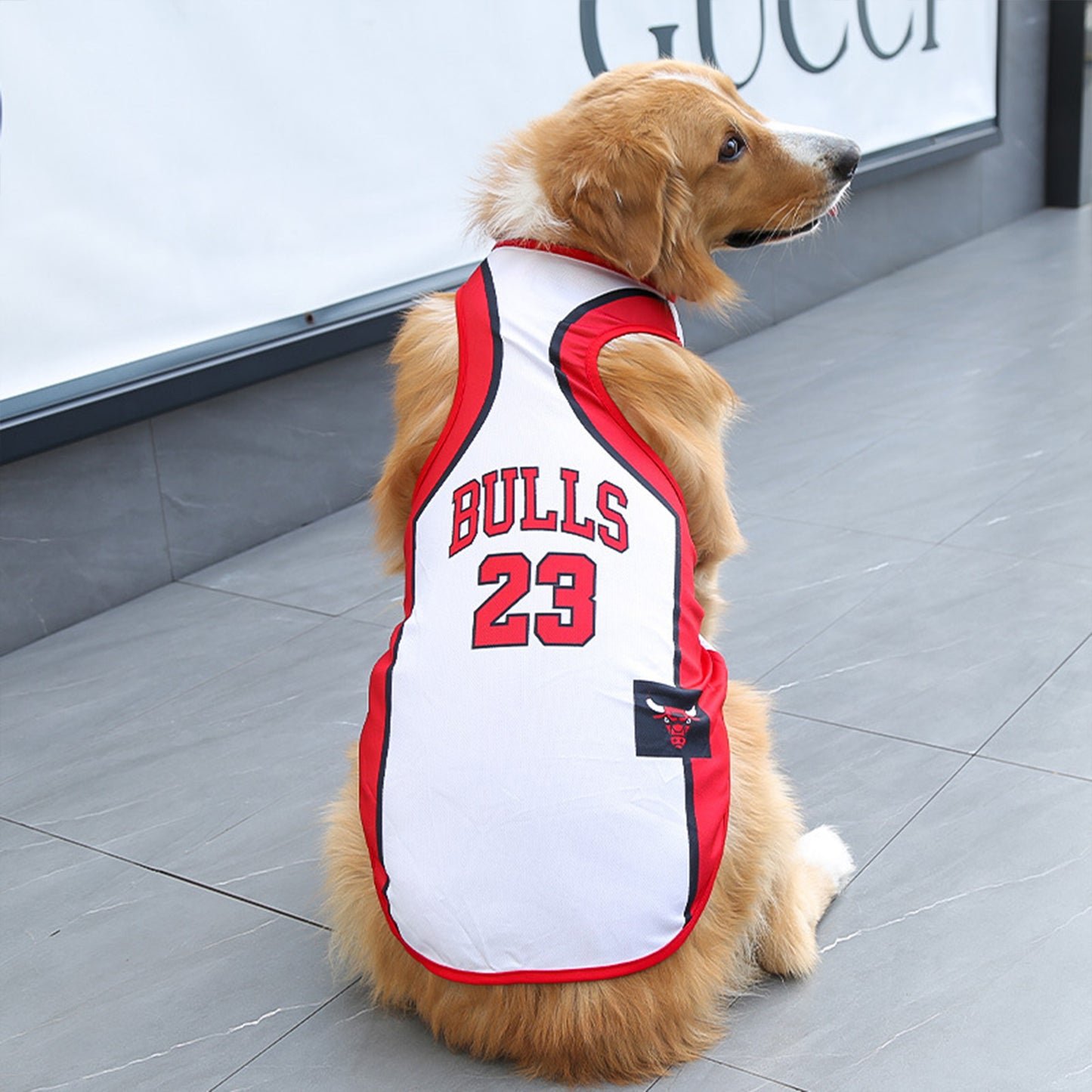 Dog Jersey | Breathable National Team Pet Shirt for Dogs