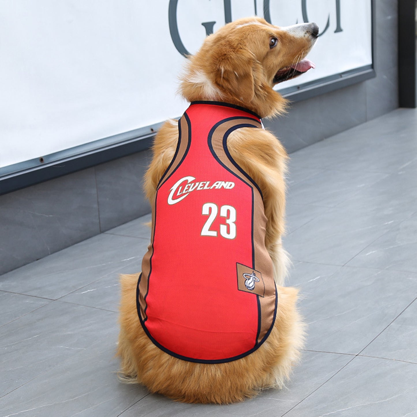 Dog Jersey | Breathable National Team Pet Shirt for Dogs