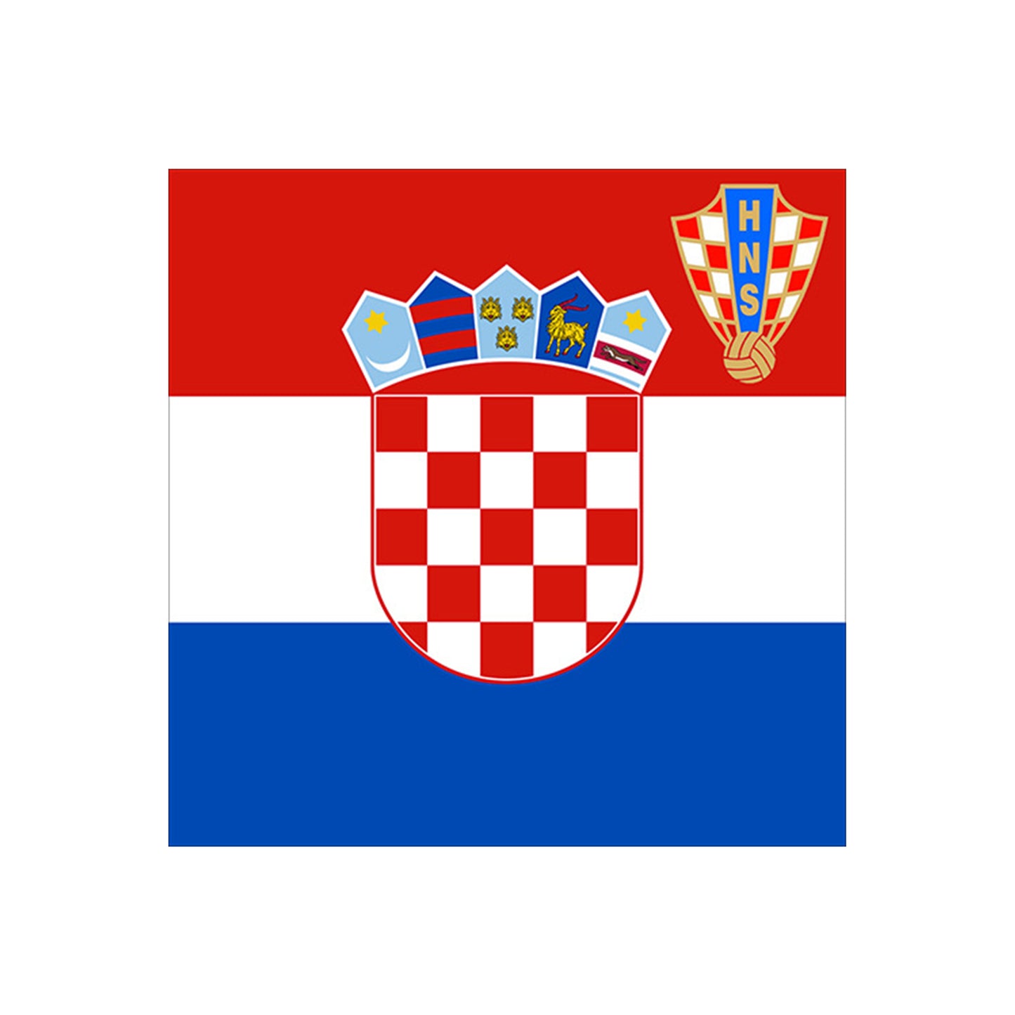 National Flag Banner & Tablecloth | Large Cheering Flag for Stadiums & Heavy-Duty Table Cover for Parties