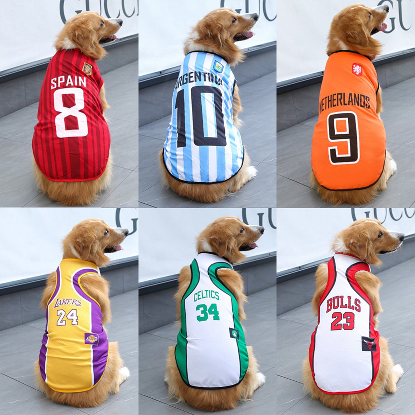 Dog Jersey | Breathable National Team Pet Shirt for Dogs