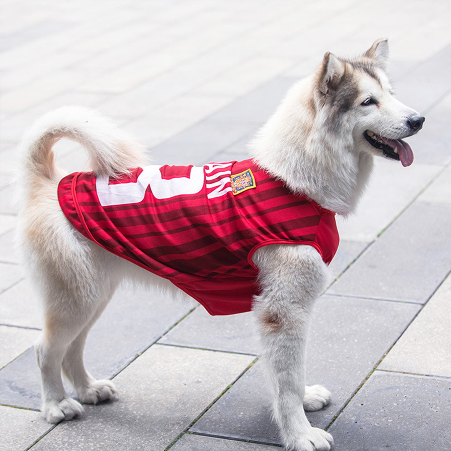 Dog Jersey | Breathable National Team Pet Shirt for Dogs
