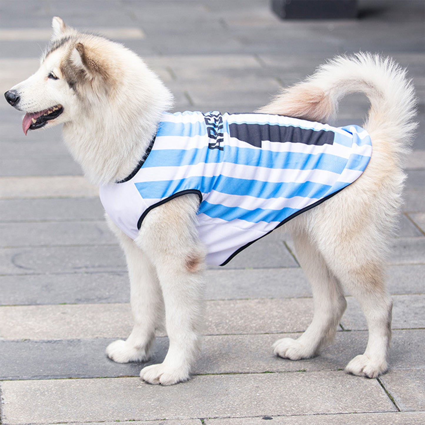 Dog Jersey | Breathable National Team Pet Shirt for Dogs