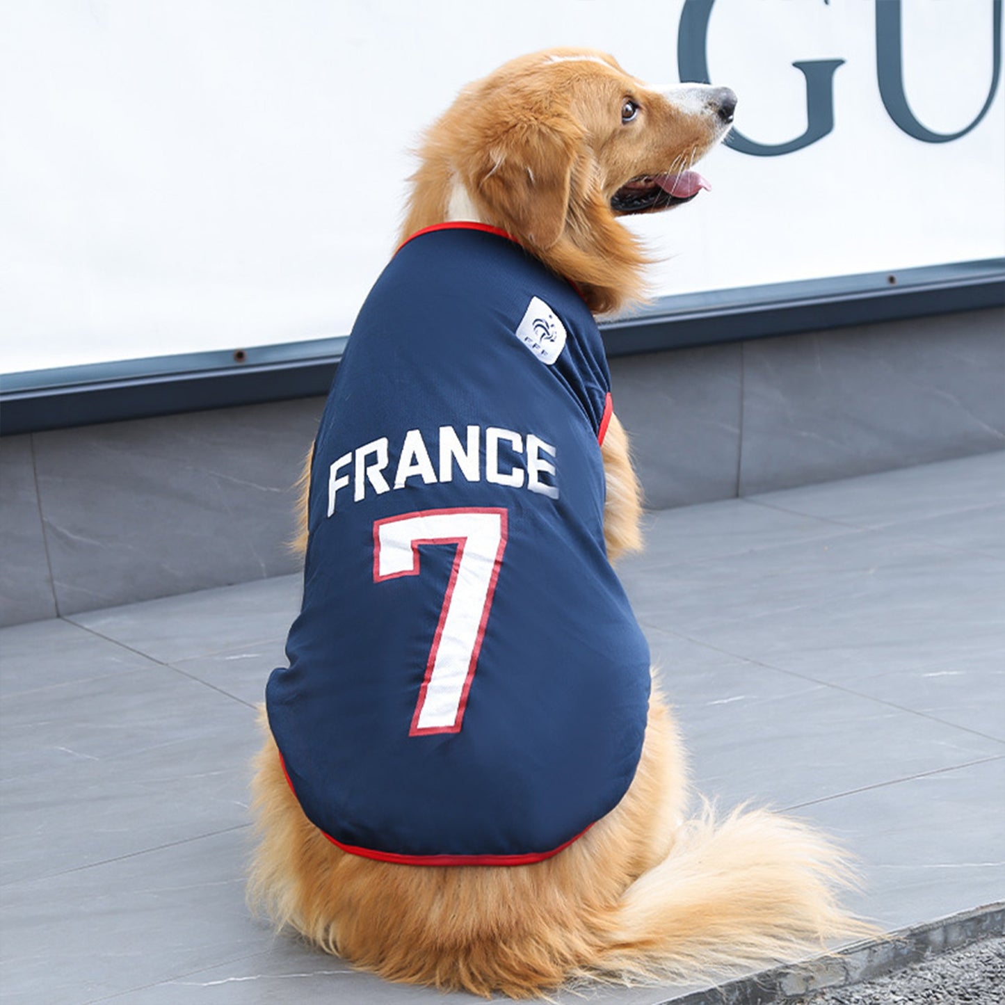 Dog Jersey | Breathable National Team Pet Shirt for Dogs