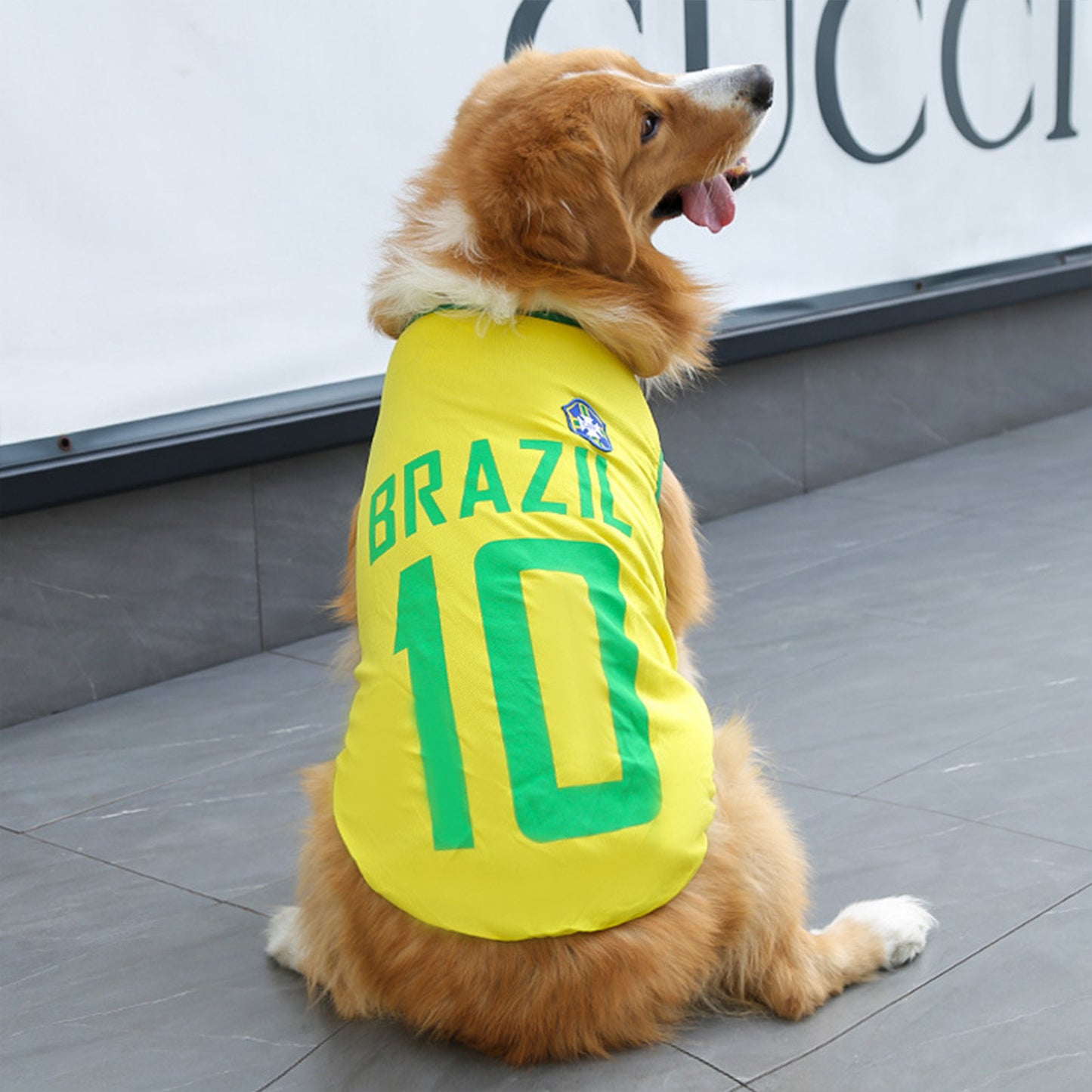 Dog Jersey | Breathable National Team Pet Shirt for Dogs