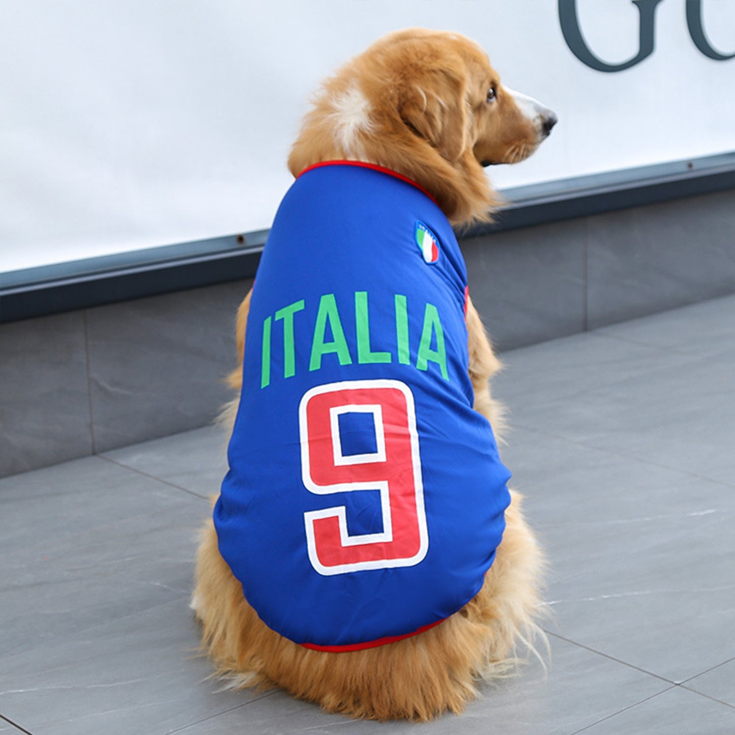 Dog Jersey | Breathable National Team Pet Shirt for Dogs