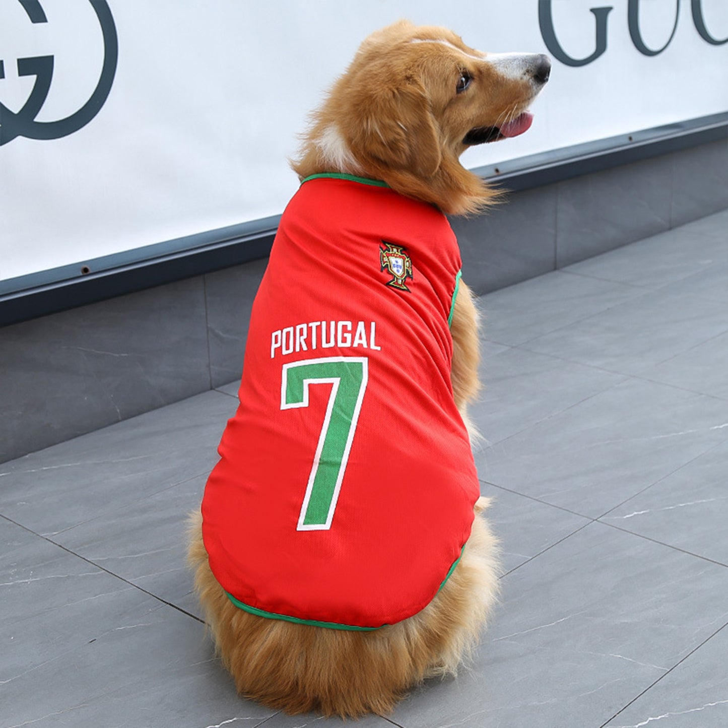 Dog Jersey | Breathable National Team Pet Shirt for Dogs